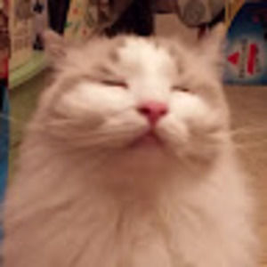 Meet your Posher, Yuet-ming